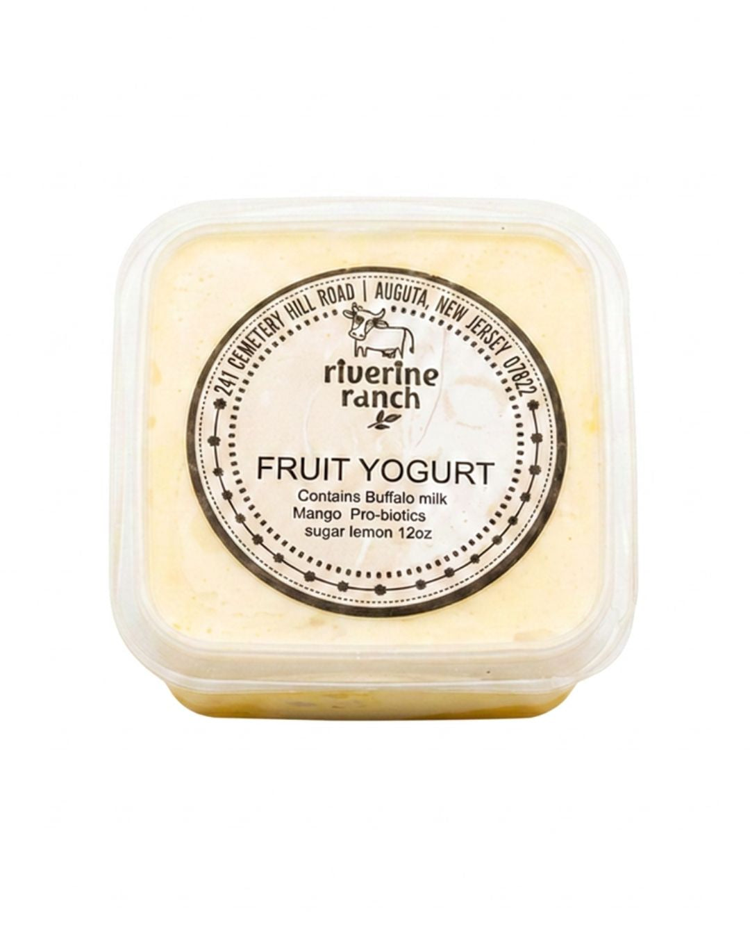 Mango Fruit Yogurt