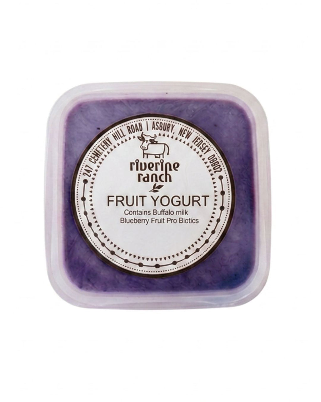 Blueberry Fruit Yogurt