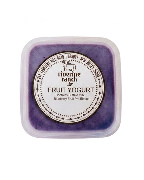 Blueberry Fruit Yogurt